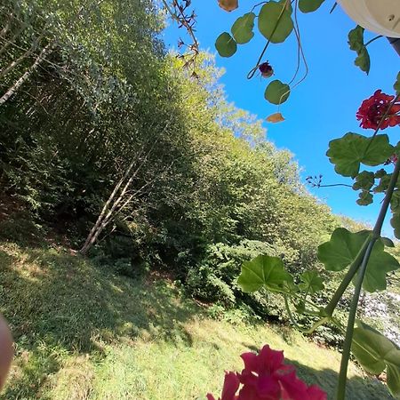 Garsoniera Flori - Sinaia Apartment Екстериор снимка