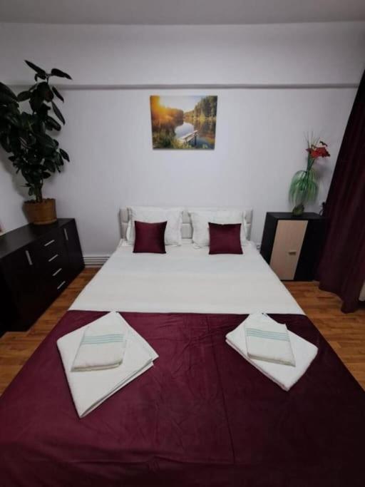 Garsoniera Flori - Sinaia Apartment Екстериор снимка