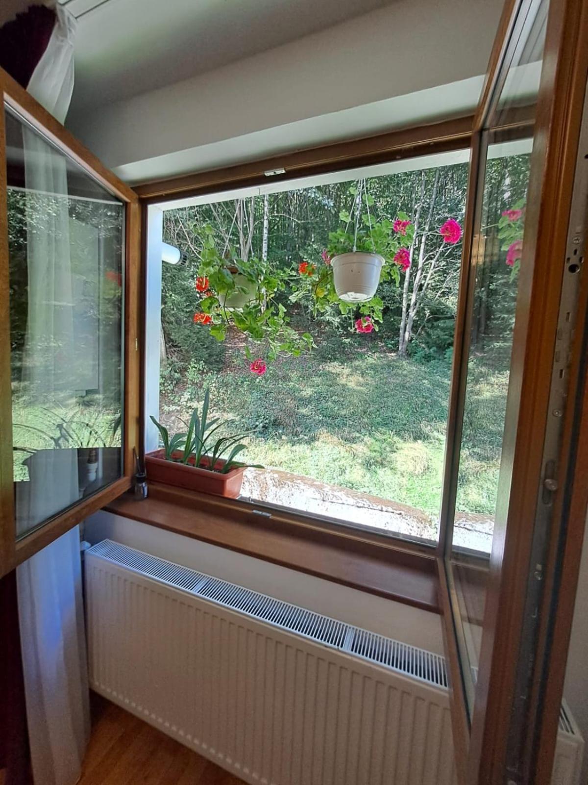 Garsoniera Flori - Sinaia Apartment Екстериор снимка
