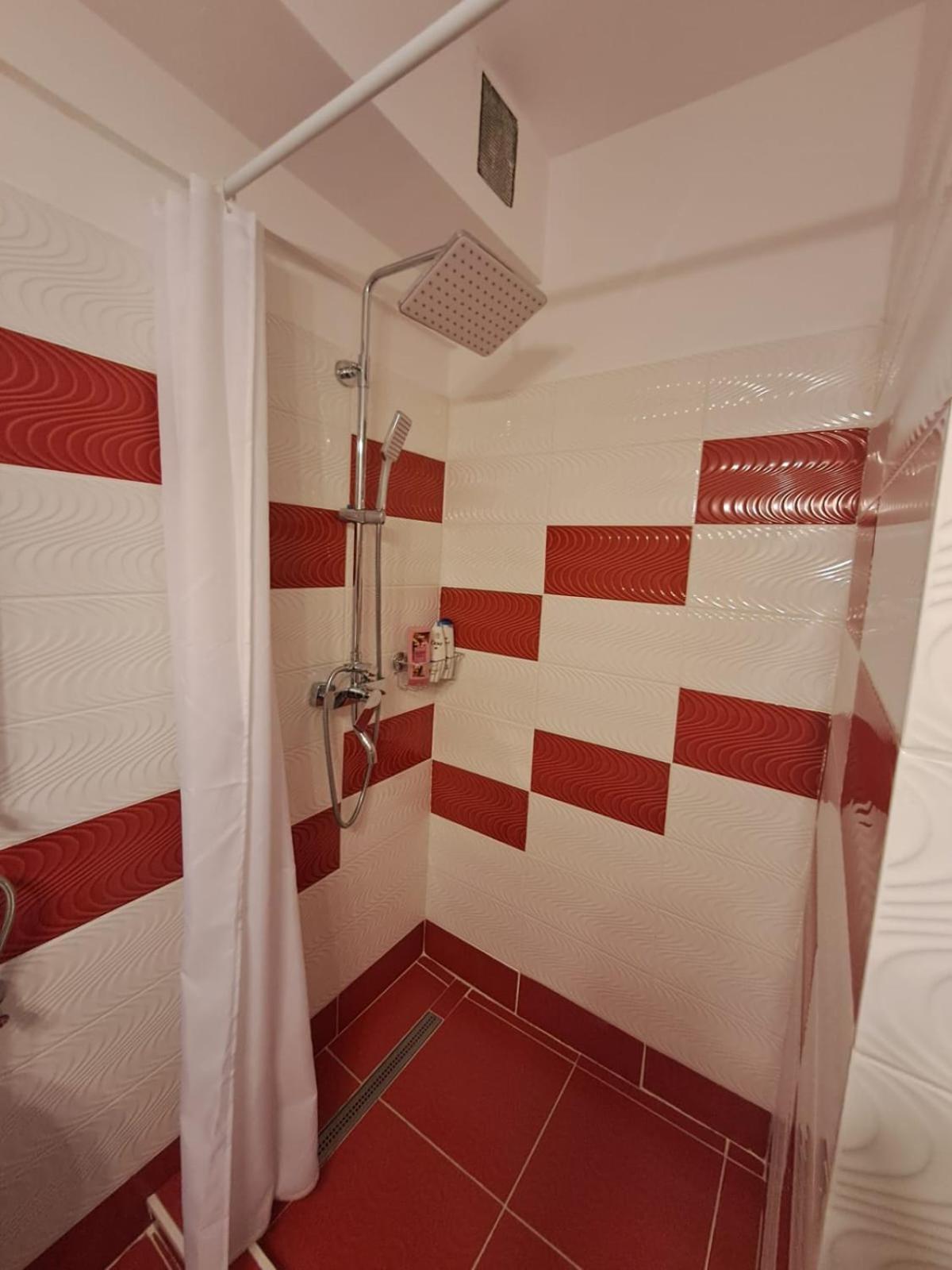 Garsoniera Flori - Sinaia Apartment Екстериор снимка